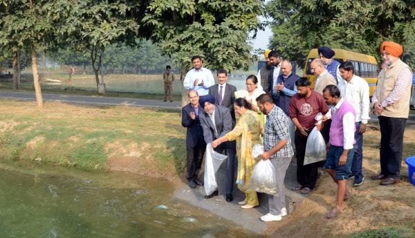 The celebration kicked off with stocking of fish fingerlings in a fish pond at the Instructional cum Research Farm of COF by the Chief Guest, Dr. Jatinder Paul Singh Gill, Vice Chancellor